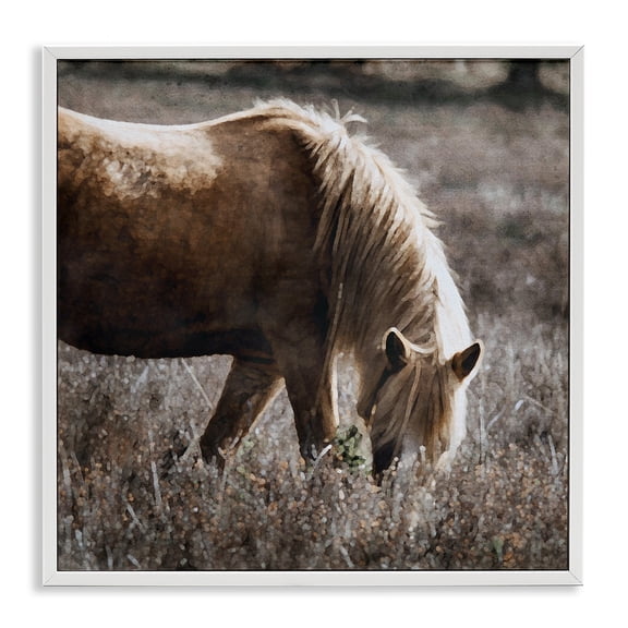 Stupell Industries Traditional Wild Horse Grazing White Framed Giclee Art, 12 x 12, by LSR Design Studio