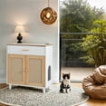 thumbnail image 4 of Vinsetto Cat Litter Box House with Sisal Scratching Door, Beige+White, 4 of 9