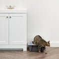 IRIS USA OpenTop Cat Litter Box with Shield and Scoop, Dark Gray