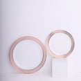thumbnail image 5 of Balsa Circle 10 Round 7 in Blush Rose Gold Disposable Salad Plastic Plates Spiral Trim Party Tableware Decorations Supplies, 5 of 8