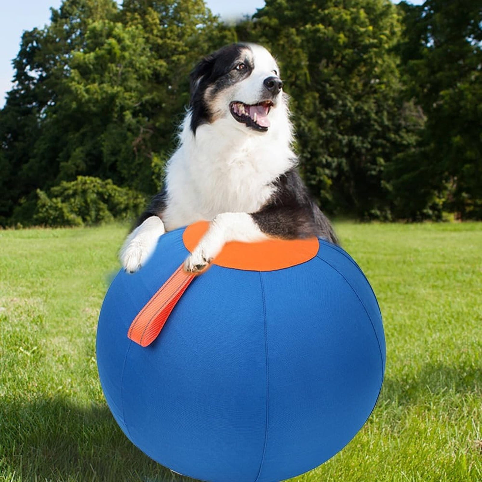 Jumbo Dog Herding Ball Inflatable Giant Dog Toy Durable Anti Tear Calming Exercise Ball with Cover Pump for Large Medium Small Dogs Training Play 25–55cm