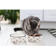 thumbnail image 3 of Cat Bowl Pearhead, cerámica, apta para bigotes, 350 ml, cara de gato, 3 of 8