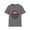 Graphite Heather, variant on Houston Retro Vintage Established 1833 T-Shirt