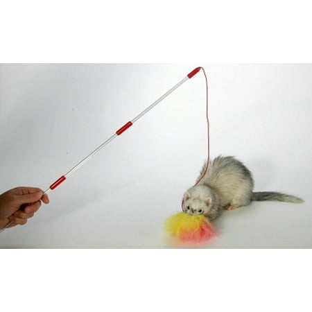 Pet Store Ferret Food Pet Store Ferret Food
