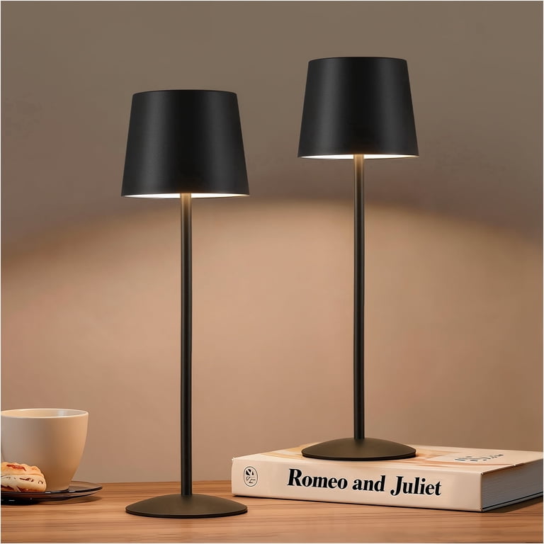 NATYSWAN Modern LED Desk Lamps 2-Pack, Rechargeable photo 1