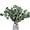 Green-apple Eucalyptus, variant on Eucalyptus Stems, 20PCS 17inch Real Fresh Dried Eucalyptus Branches for Shower Wedding Spring Festival Vase Home Decoration