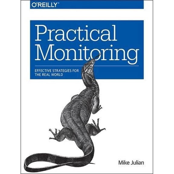Practical Monitoring: Effective Strategies for the Real World (Paperback)