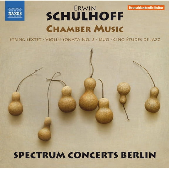 Schulhoff / Brovtsyn / Sokolov - Erwin Schulhoff: Chamber Music - Music & Performance - CD