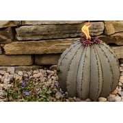 Large Golden Barrel Cactus with Torch