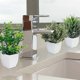 thumbnail image 2 of 3 Pack Fake Plants in Pots Artificial Eucalyptus Plant Mini Potted Faux Plants Indoor Small Plastic, 2 of 5