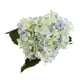 thumbnail image 1 of Artificiales para Arreglos Florales , de para El Hogar Y Bodas, Decoración DIY Baoblaze  Flor artificial, 1 of 7