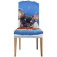 thumbnail image 2 of ABPHQTO Funda protectora para silla elástica con diseño de sandía fresca y jugosa para perro Chihuahua, funda protectora para asiento para comedor, Hotel, fiesta de boda, juego de 4, 2 of 4