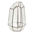 thumbnail image 1 of Terrario geométrico de cristal transparente para suculentas, maceta de mesa, bricolaje D 3.94 x 3.94 x 5.9 pulgadas, 1 of 9