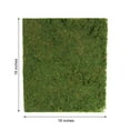 thumbnail image 3 of BalsaCircle 18" x 16" Green Natural Preserved Moss Sheet Wedding Party Crafts Centerpieces Decorations, 3 of 8