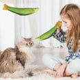 thumbnail image 6 of WozhuoToy Cat Toys Fish, Catnip Crinkle Sound, Soft and Durable, Interactive Kitten Kicker for Indoor Kitty Exercise 9.4 Inches, 6 of 6
