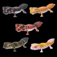 thumbnail image 4 of Figura de acción móvil de simulación de mapa biológico grande de Bandai Gashapon, lagarto gecko, eslizón de lengua azul, juguete coleccionable, 4 of 5