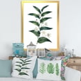 thumbnail image 3 of Designart 'Little White Flowers With Ancient Plant' Farmhouse Framed Art Print, 3 of 4