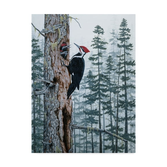 Trademark Fine Art 'Piliated Woodpeckers' Canvas Art by Jeff Tift