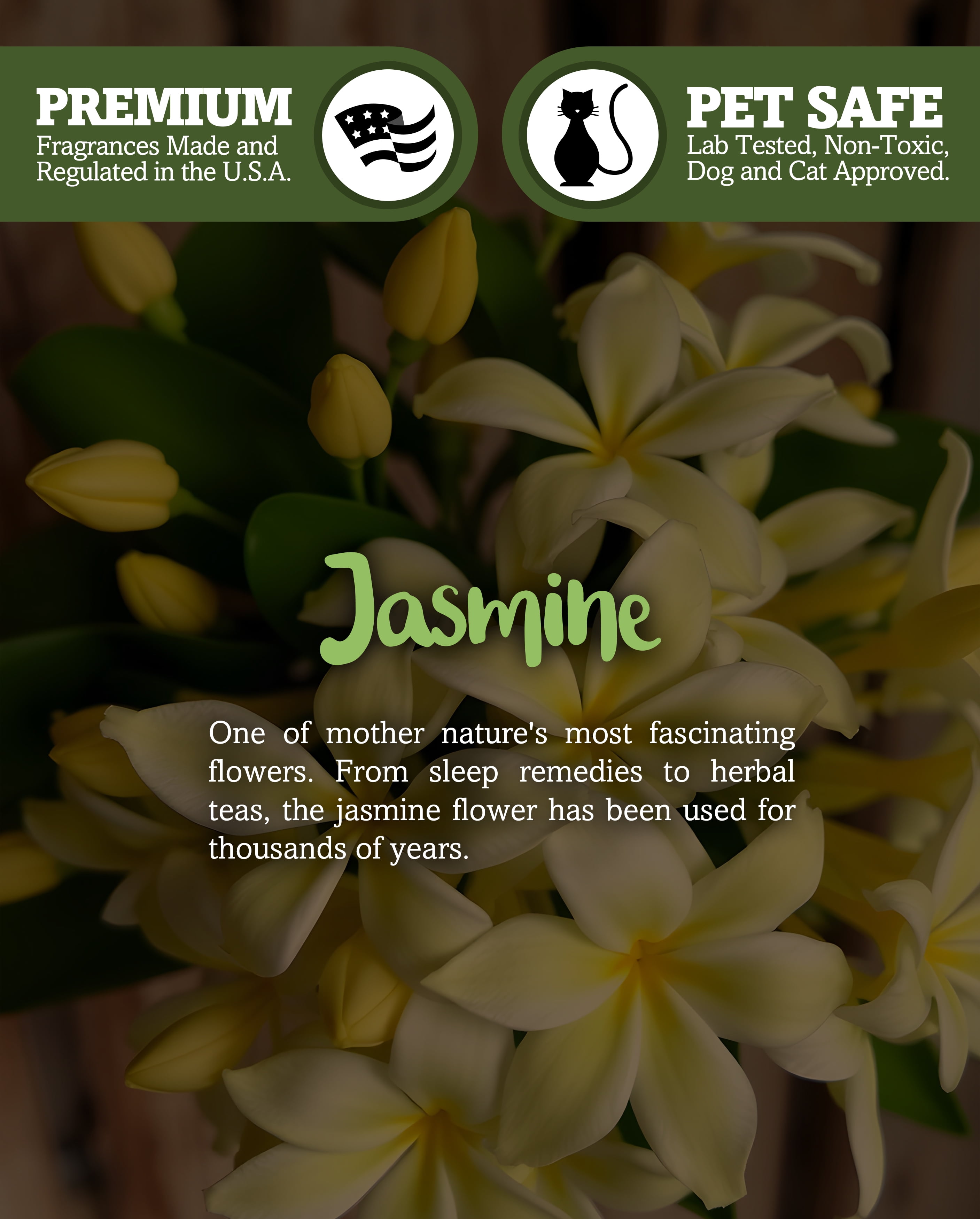 Pure Jasmine Scented 3 Wick Candle - All Natural - Made with 100% Responsibly Sourced Soy and Essential Fragrance Oils - Phthalate & Paraffin Free, Vegan, Non-Toxic