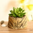 thumbnail image 3 of Artificial Succulent Plants Faux Assorted – Succulent Plants Arrangement Textured Cactus Stems Pick - Fake Cacti Aloe Succulent Variety Floral Decorative Bouquet Pack, 3 of 8