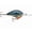 Live Pumpkinseed, variant on Rapala RDT08DEL DT Series Crankbait DT8 Delta 2" 3/8oz Fishing Lure