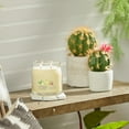 thumbnail image 6 of Yankee Candle Signature Medium 2-Wick Candle, Iced Berry Lemonade, 13 oz, 6 of 8