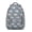 King Charles Cavalier, variant on King Charles Cavalier Backpack for School,Cute School Bag,Schoolbag with Adjustable Shoulder Straps & Padded Back,15.3"x11"x6.7"