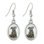 Staffy Staffordshire Bull Terrier Dog Sandy Beach Novelty Dangling Drop Oval Charm Earrings