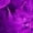 Purple, variant on Womens Scarves Fashion Lightweight 2 Yards 60g Lavender Tinsel for DIY Party Decor Festival Outfits Blue