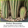 thumbnail image 3 of Cactus artificial, planta de interior, falso cactus grande, 60 cm, 3 of 8