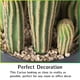 thumbnail image 3 of Cactus artificial, planta de interior, falso cactus grande, 60 cm, 3 of 8