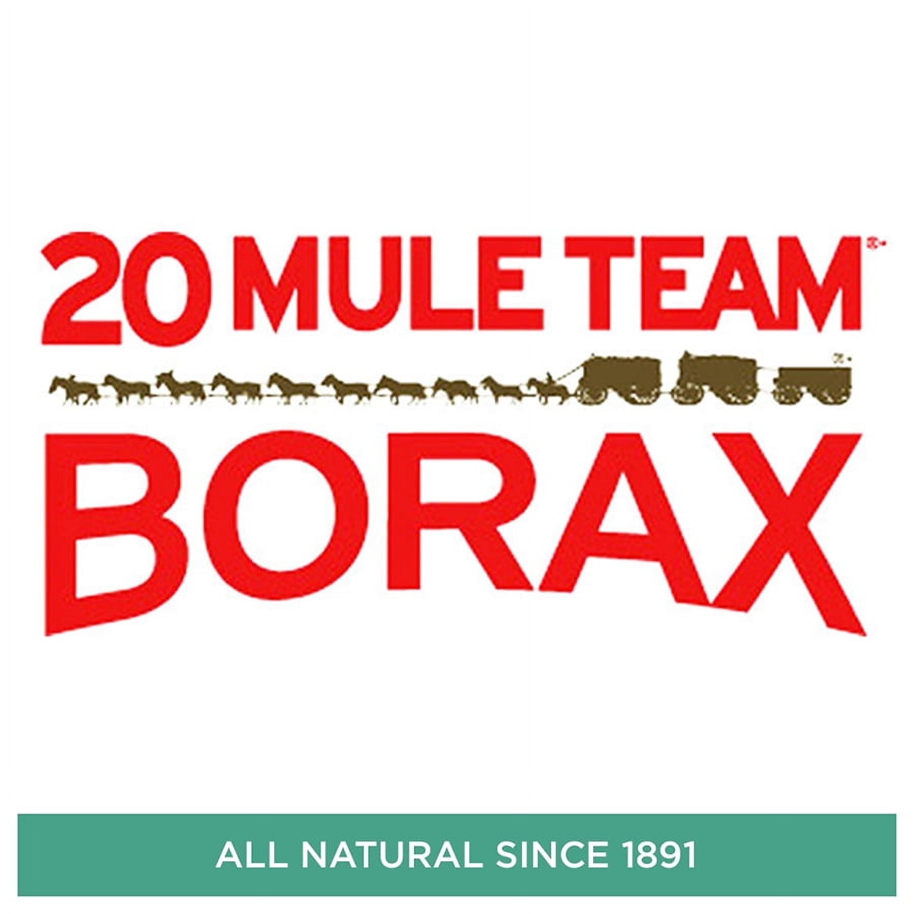 (3 pack) 20 Mule Team All Natural Borax Laundry Detergent Booster & Multi-Purpose Household Cleaner, 65 Ounce