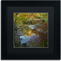 Trademark Fine Art "Why I Love Autumn 3" Canvas Art by Kurt Shaffer, Black Matte, Black Frame