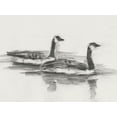 thumbnail image 2 of Harper, Ethan 14x12 Black Ornate Wood Framed with Double Matting Museum Art Print Titled - Geese Study I, 2 of 4