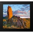 thumbnail image 2 of Fitzharris, Tim 16x15 Black Modern Framed Museum Art Print Titled - Tucson Mountains-Saguaro National Park-Arizona, 2 of 5