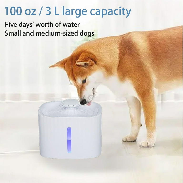 Pet water fountain with automatic shut off hot sale