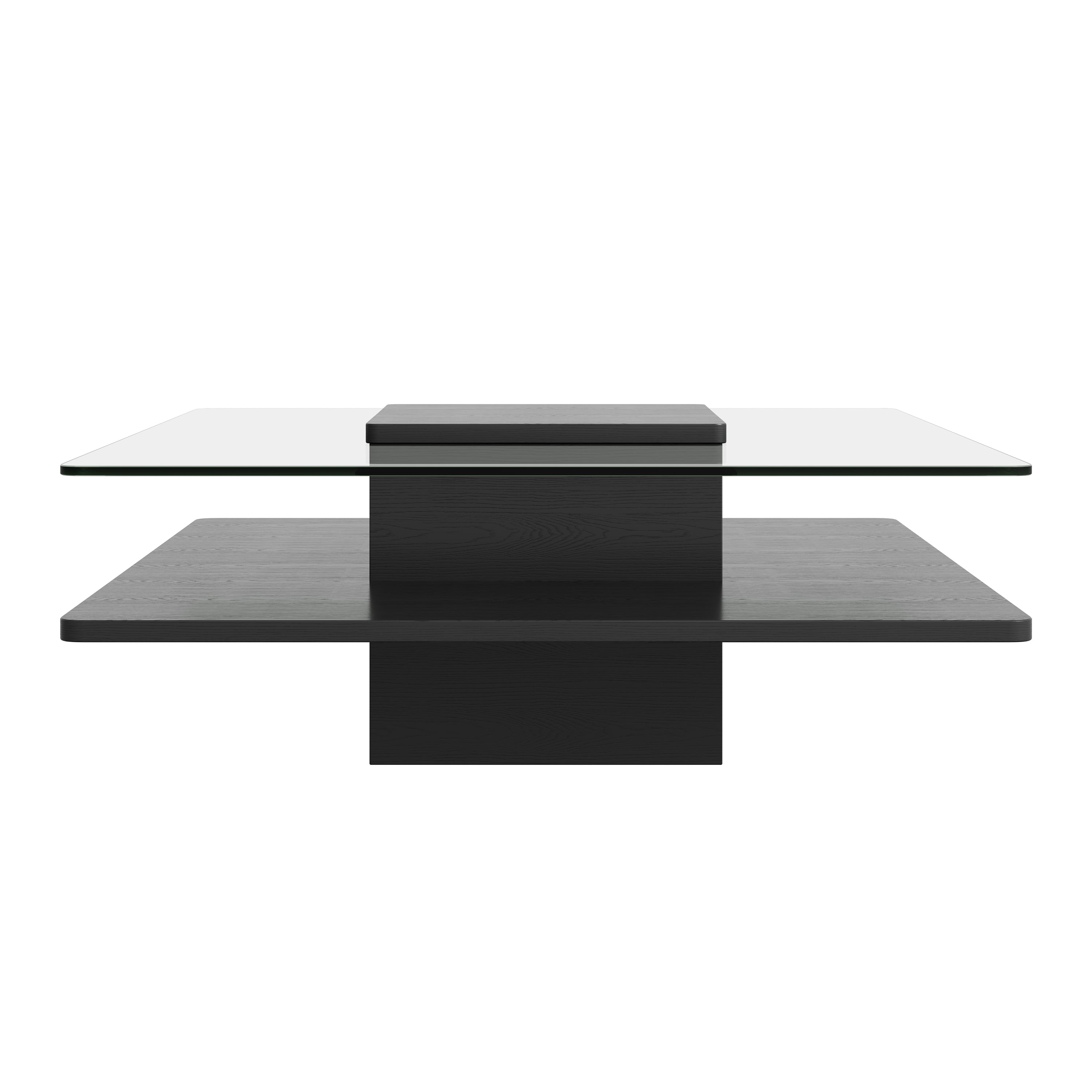 GARITIN Coffee Table 31.5 Inch, Square Tempered Glass Top with Storage Shelf and Black Finish Frame for Living Room