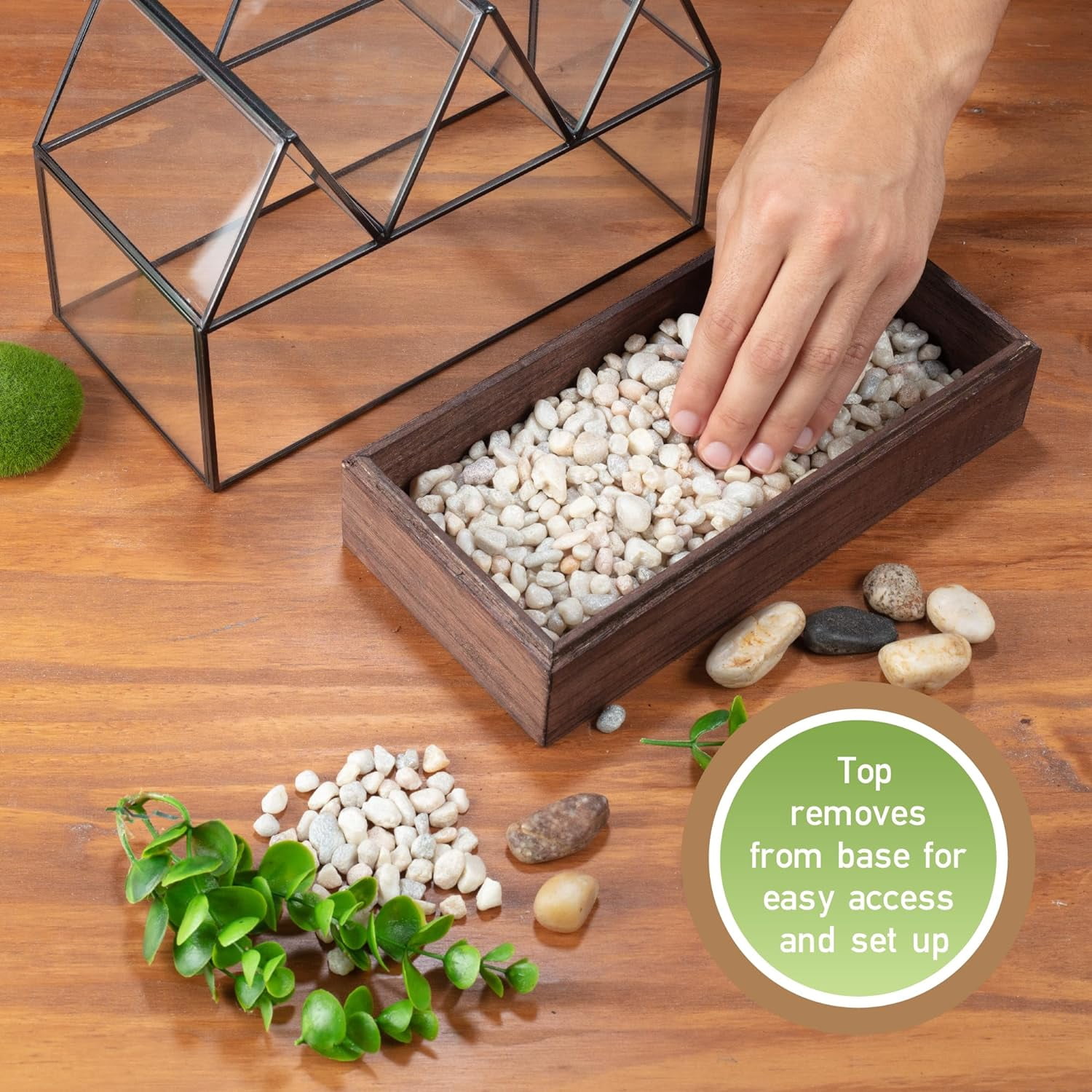D'Eco Glass Castle Plant Terrarium (10x9x5) - Black Geometric Metal Planter w Wood Base - Grow Your Own Succulents, Plants, Moss, in an Indoor Home Garden - Great Gift for Plant Lovers
