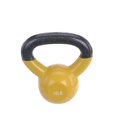 thumbnail image 1 of Sunny Health & Fitness Vinyl Coated Kettle Bell, 1 of 9