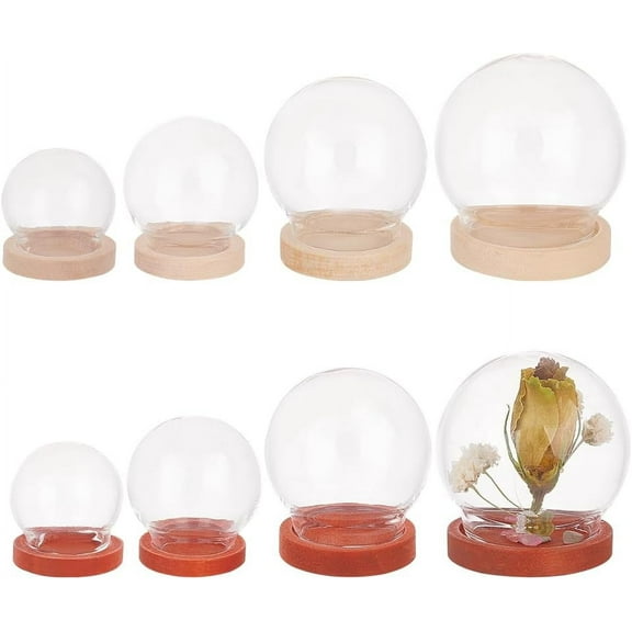 8 Sets Glass Display Dome Cloche 4 Sizes Glass Bell Jar with Base 2 Colors Glass Dome Decorative Jars Display Case for Flower Plants Succulents Storage Home Christmas Party Favor