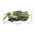 thumbnail image 2 of CTIRCHIU Fish Tank Fake Plants 1Pcs Realistic Green Elliptical Leaves Decor, 2 of 8