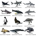 thumbnail image 3 of Mini figuras de juguete de animales marinos, 12 mini juguetes rompecabezas para niños, juguetes cognitivos, regalos de cumpleaños, 3 of 5