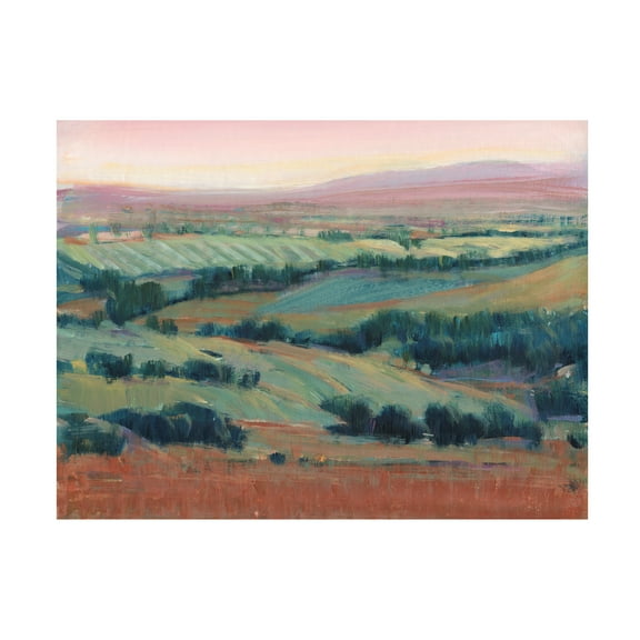 Tim OToole 'High Point II' Canvas Art