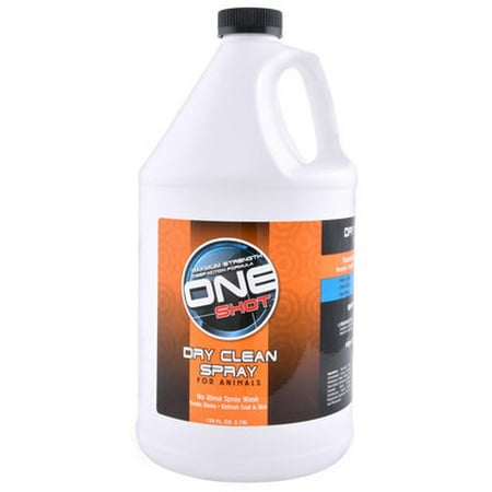 One Shot Dry Clean Spray - Gallon One Shot Dry Clean (Best Automotive Cleaning Products)
