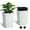 White, variant on TEQIN Resin Tall Planters for Outdoor Plants Set of 2, 23" H Large Taper Outdoor Planter Pots with Drainage Holes, Rattan Flower Pot Flower Pots for Porch, Patio, Backyard, Home Garden