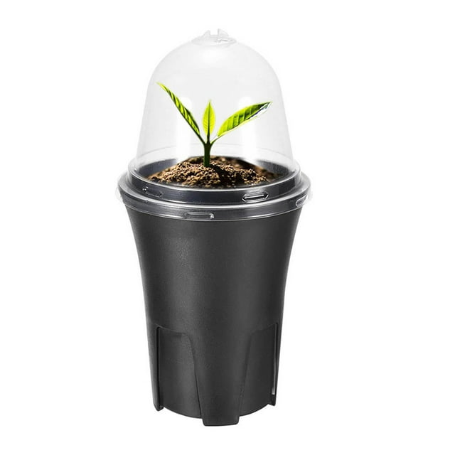 Herunwer Clear Dome Mini Greenhouse Planter with Removable Base
