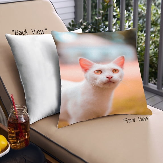 Ahgly Company Cat Cats Outdoor Throw Pillow, 18 inch by 18 inch