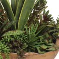 thumbnail image 2 of Uttermost Salar de Succulentes dans un Bol en Teck, 2 of 2