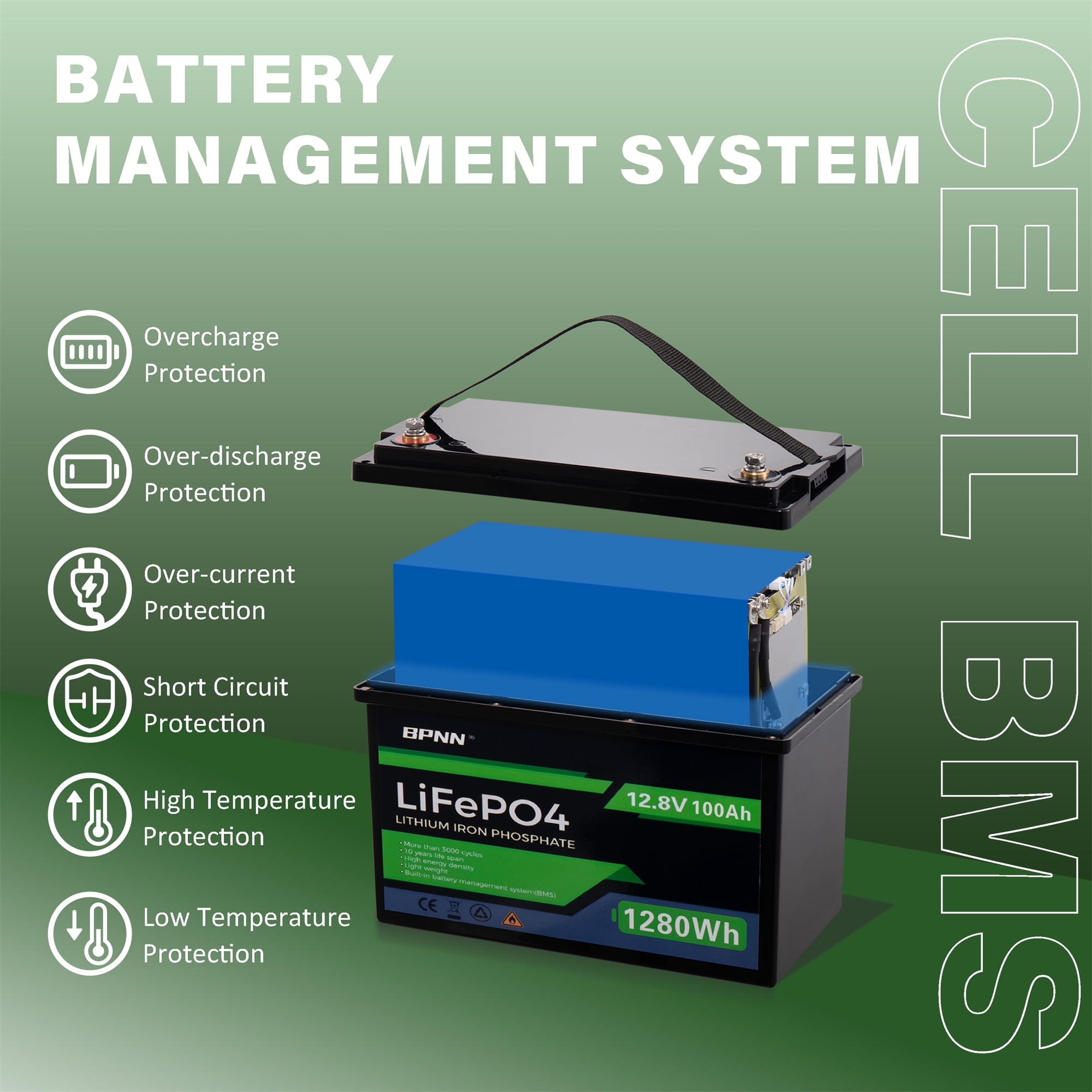 2Pack 12V 100AH LiFePO4 Battery Built-in 100A BMS 12V Lithium Battery for Home Back-up Power BPNN