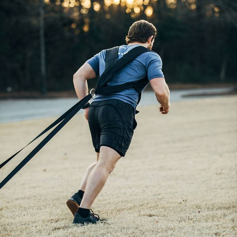 Titan push pull online sled